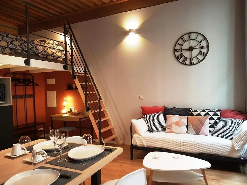 Cosy Appartement, Dans Les Pentes De La Croix Rousse Lyon Apartment