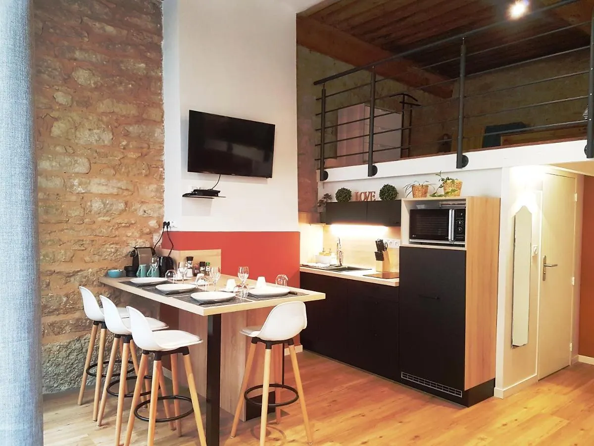 Apartment Cosy Appartement, Dans Les Pentes De La Croix Rousse Lyon
